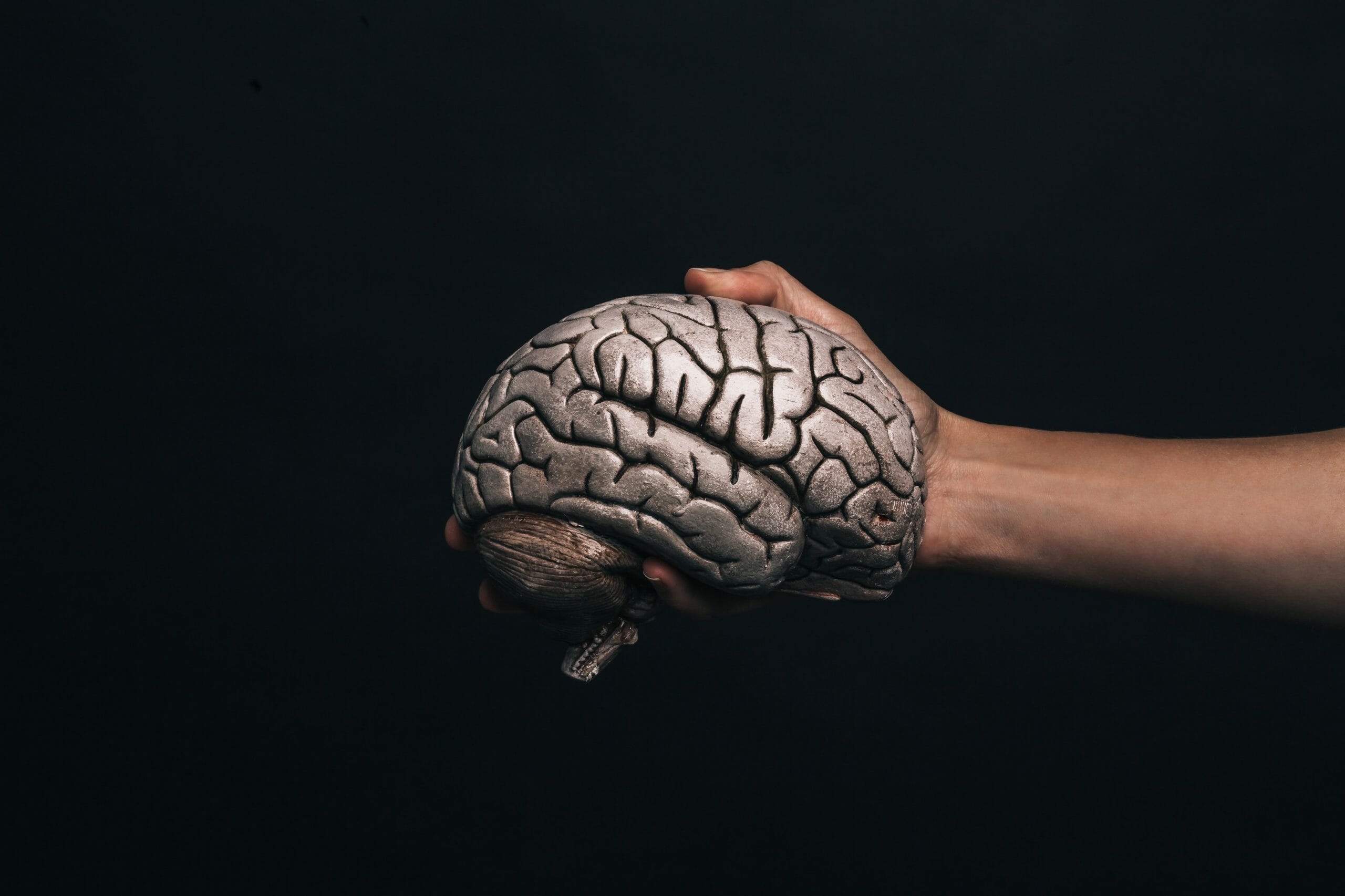 Hand Holds Model Brain Min Scaled