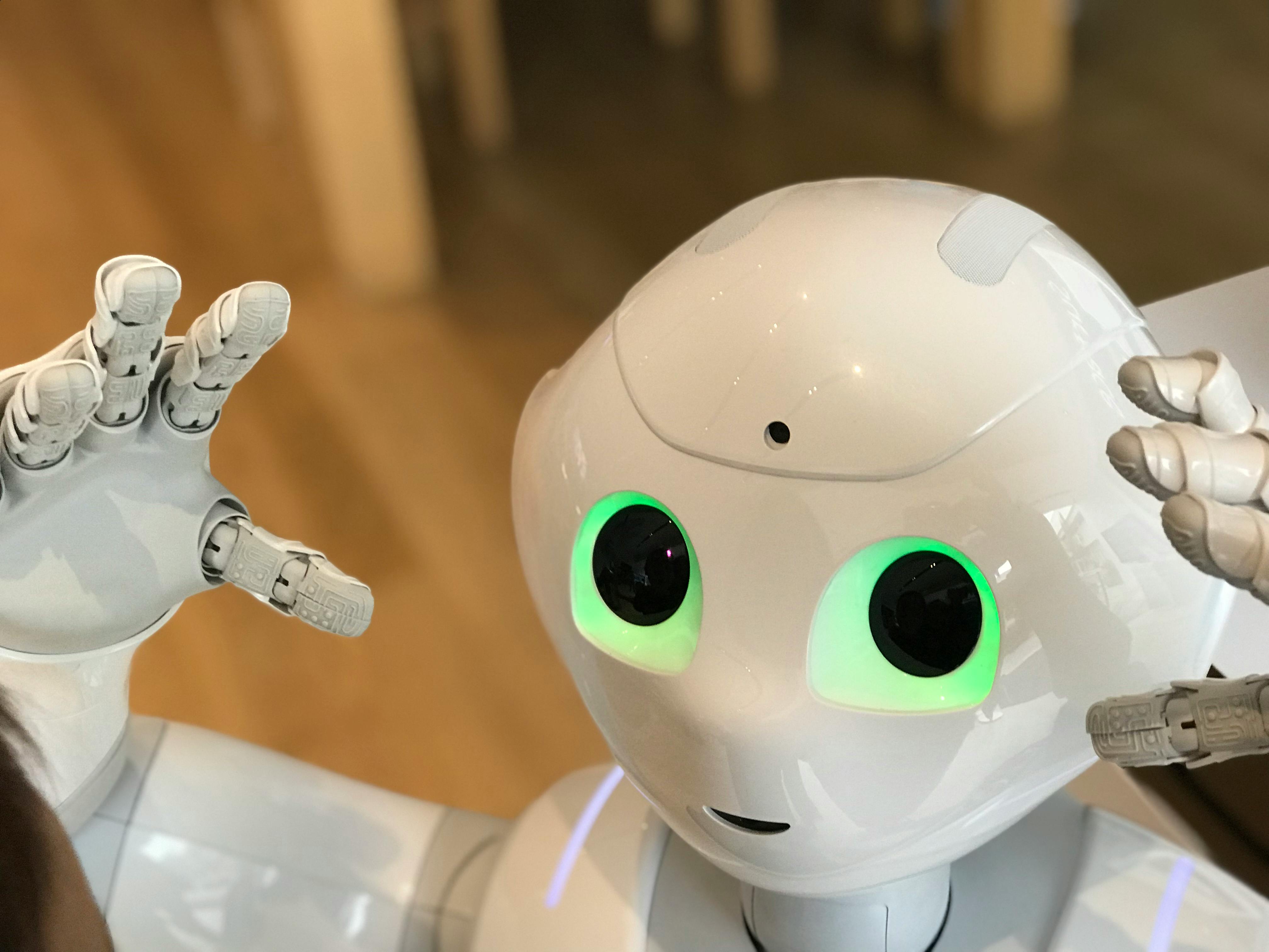 Pexels Laura Musikanski 821773 6019019