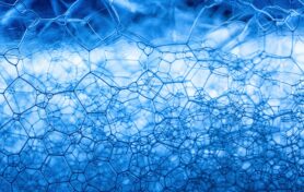 Pexels Toni 11042723