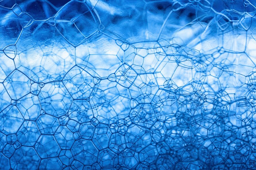 Pexels Toni 11042723