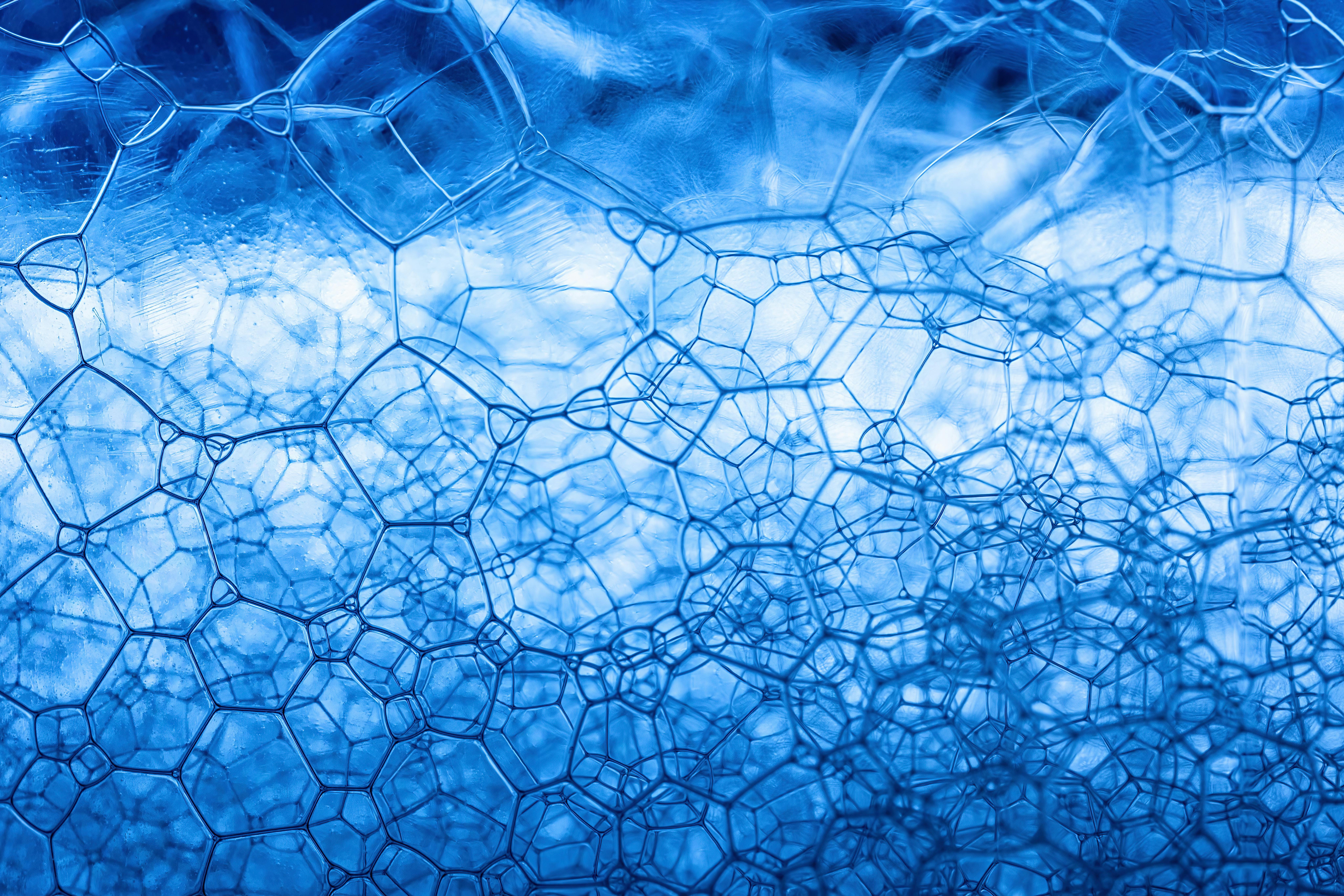 Pexels Toni 11042723